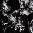 DECAYED SKULL GRAPHIC PRINT T-SHIRT IN SOFT BLACK COTTON